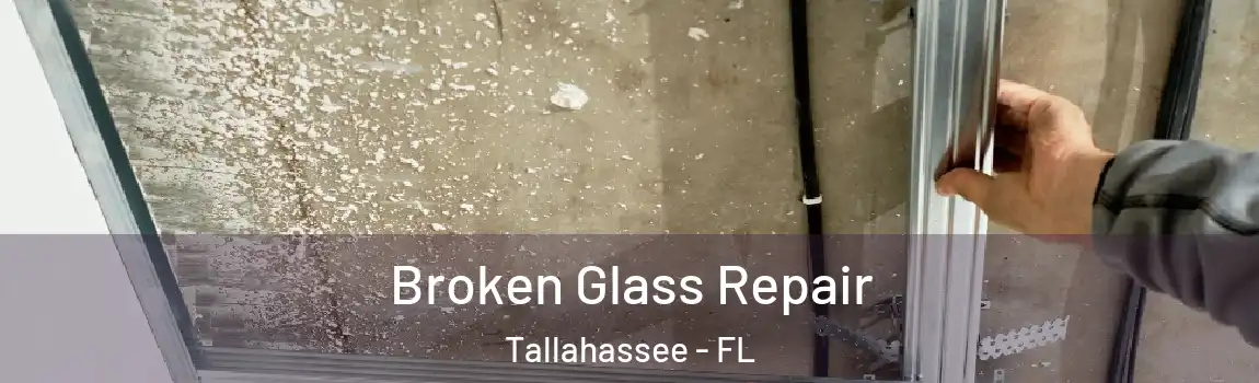  Broken Glass Repair Tallahassee - FL