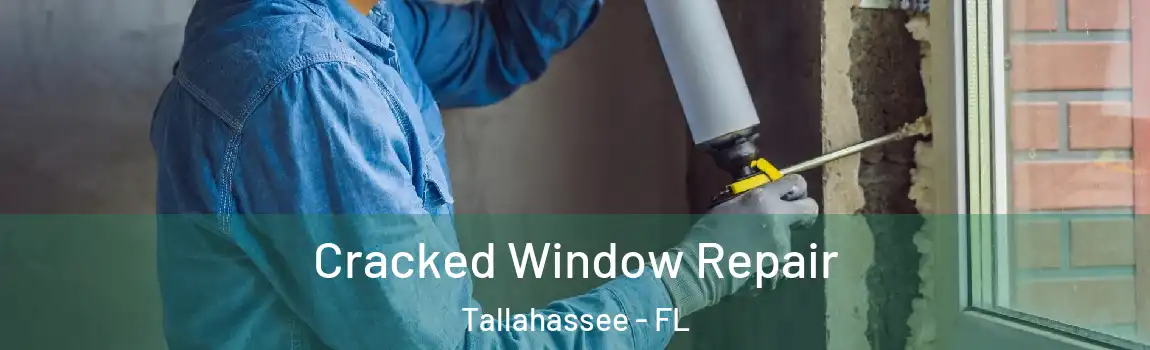  Cracked Window Repair Tallahassee - FL