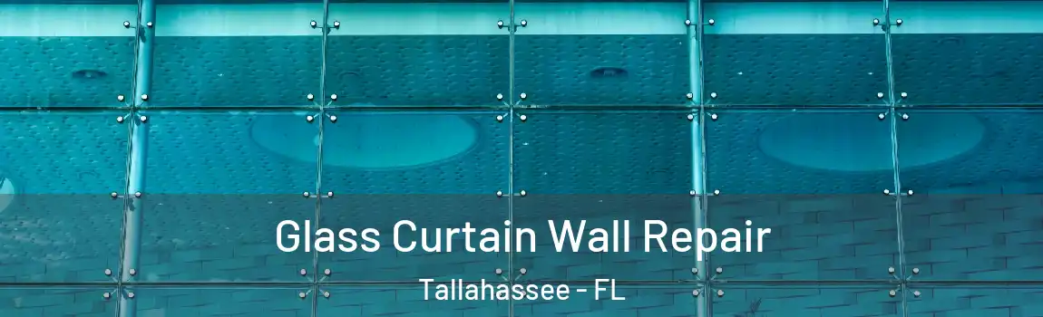 Glass Curtain Wall Repair Tallahassee - FL
