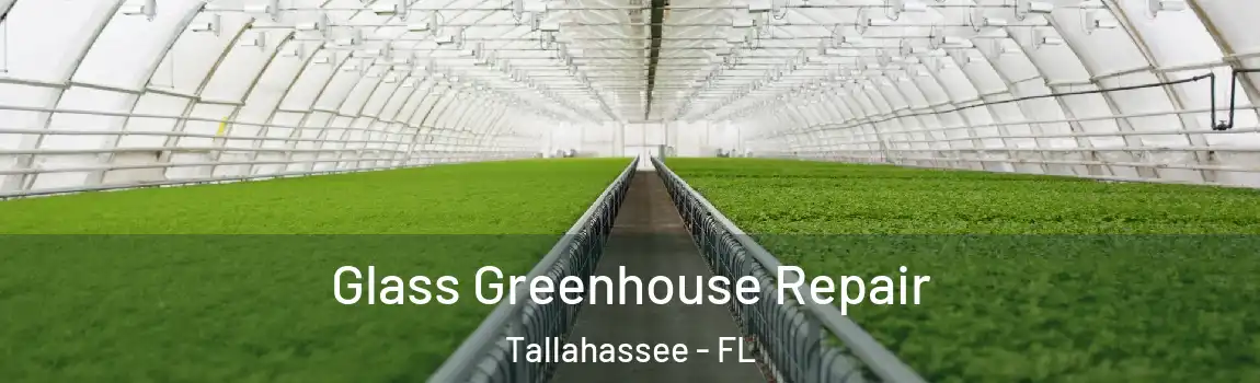 Glass Greenhouse Repair Tallahassee - FL