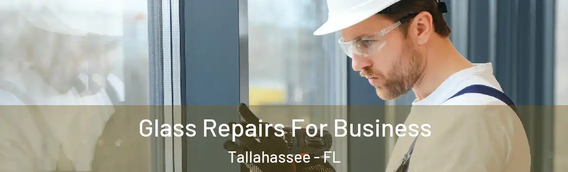  Glass Repairs For Business Tallahassee - FL
