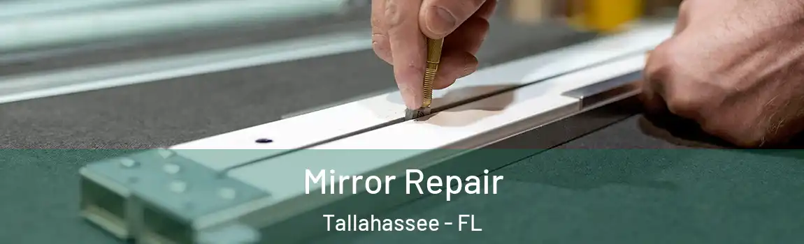  Mirror Repair Tallahassee - FL