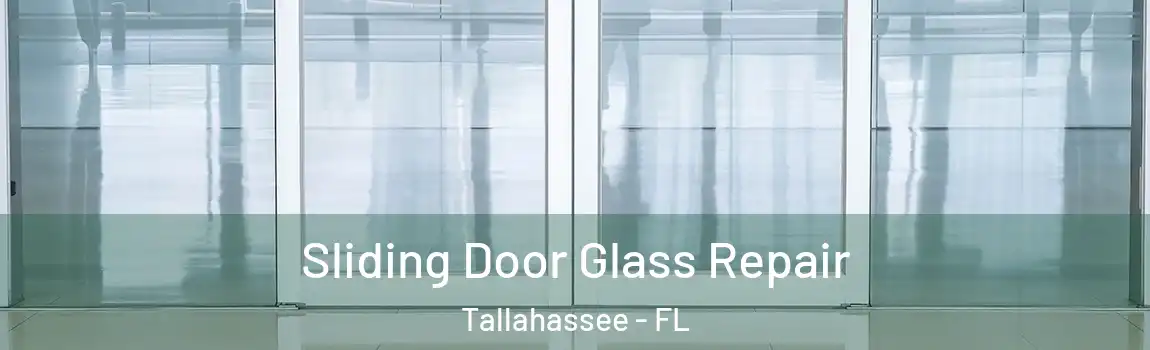 Sliding Door Glass Repair Tallahassee - FL