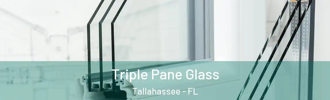  Triple Pane Glass Tallahassee - FL