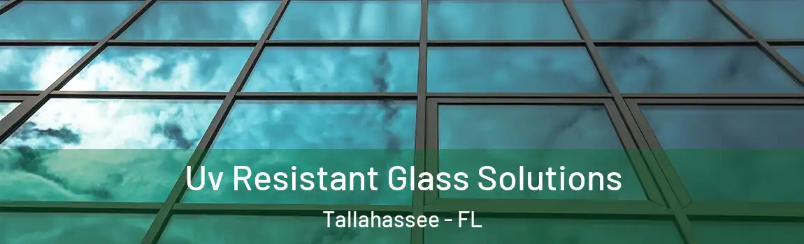  Uv Resistant Glass Solutions Tallahassee - FL
