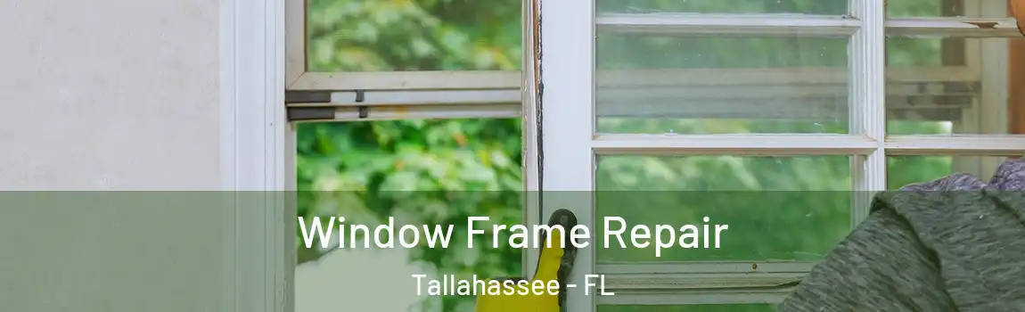 Window Frame Repair Tallahassee - FL